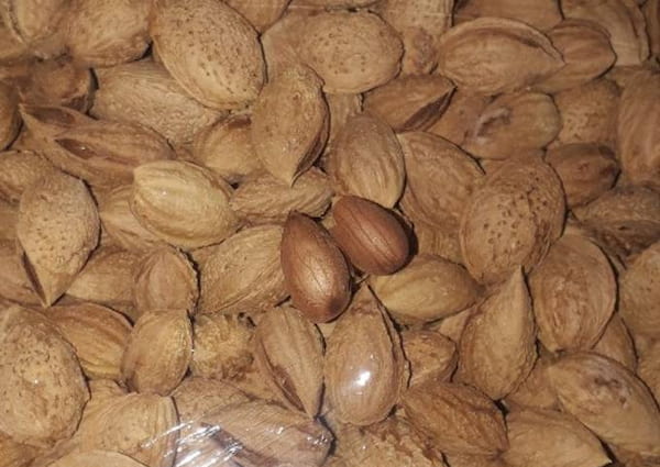 تصویر 1 از قیمت خرید بادام پوست کاغذی + فروش ویژه